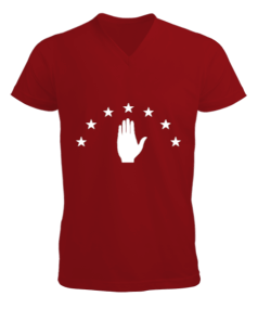Abhazya Bayrağı.Abhazya logosu. Erkek Kısa Kol V Yaka Tişört