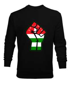 Abhazya,Abhazya Bayrağı,abkhazia,abkhazia flag. Siyah Erkek Sweatshirt