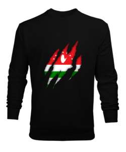 Abhazya,Abhazya Bayrağı,abkhazia,abkhazia flag. Siyah Erkek Sweatshirt