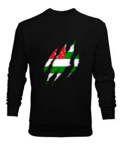 Abhazya,Abhazya Bayrağı,abkhazia,abkhazia flag. Siyah Erkek Sweatshirt