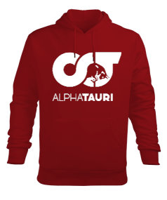 Alphatauri Erkek Kapüşonlu Hoodie Sweatshirt