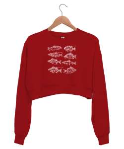 Balık Çizimleri - Balıklar - Fishs Kırmızı Kadın Crop Sweatshirt