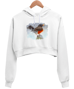 birdy 002 Kadın Crop Hoodie Kapüşonlu Sweatshirt