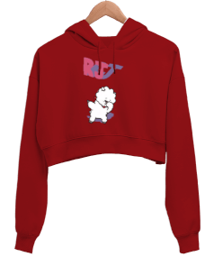 BT21 Kadın Crop Hoodie Kapüşonlu Sweatshirt