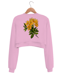 Çiçekli Kadın Crop Kadın Crop Sweatshirt