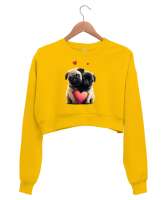 EN GÜZEL DOST Sarı Kadın Crop Sweatshirt - Thumbnail