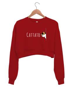 Gizlenmiş Kedi - Cattato Kırmızı Kadın Crop Sweatshirt