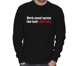 I dont care ERKEK SWEATSHIRT