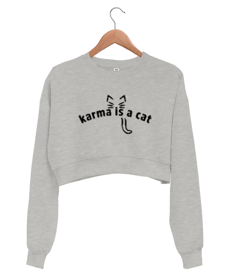 Karma Is A Cat Taylor Swift V2 Gri Kadın Crop Sweatshirt