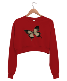 kelebek baskılı Kadın Crop Sweatshirt