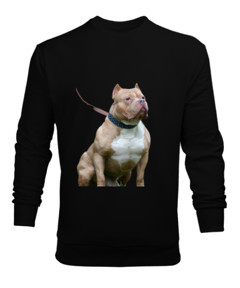 köpek baskılı Siyah Erkek Sweatshirt