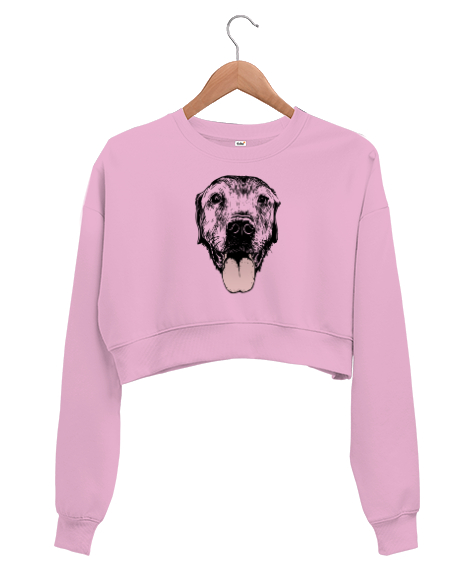 Tisho - Köpek Kafası - Dog Pembe Kadın Crop Sweatshirt