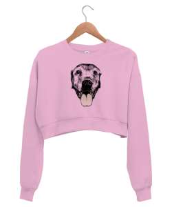 Köpek Kafası - Dog Pembe Kadın Crop Sweatshirt