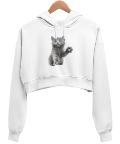 MASUM KEDİCİK Kadın Crop Hoodie Kapüşonlu Sweatshirt