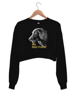 My Best Friend - En İyi Arkadaşım Siyah Kadın Crop Sweatshirt