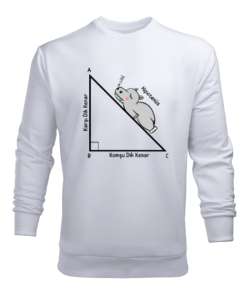 Öğretmen günü hediyesi matematik öğretmenine hediye yaratıcı öğretmenler günü hediyeleri hipotenüs ü Beyaz Erkek Sweatshirt