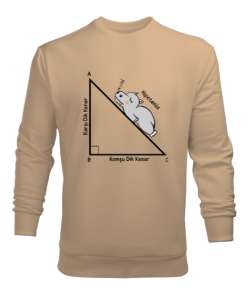 Öğretmen günü hediyesi matematik öğretmenine hediye yaratıcı öğretmenler günü hediyeleri hipotenüs ü Camel Erkek Sweatshirt