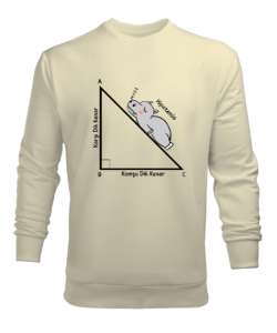 Öğretmen günü hediyesi matematik öğretmenine hediye yaratıcı öğretmenler günü hediyeleri hipotenüs ü Krem Erkek Sweatshirt