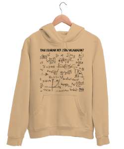 Öğretmen günü hediyesi matematik öğretmenine hediye yaratıcı öğretmenler günü hediyeleri tam olarak Camel Unisex Kapşonlu Sweatshirt