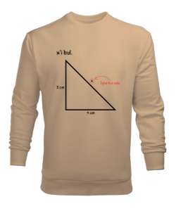 Öğretmen günü hediyesi matematik öğretmenine hediye yaratıcı öğretmenler günü hediyeleri xi bul özel Camel Erkek Sweatshirt