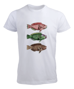 Parrot fish Erkek Tişört