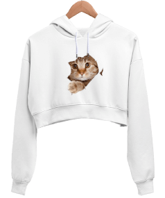 Pussycat Kadın Crop Hoodie Kapüşonlu Sweatshirt