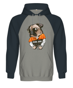 Renkli köpek Desenli Orjinal Reglan Hoodie Unisex Sweatshirt