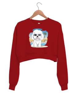 Sevimli Cool Köpek - Sweety Dog Kırmızı Kadın Crop Sweatshirt