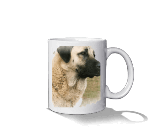 Sivas Kangal köpekli baskılı Beyaz Kupa Bardak