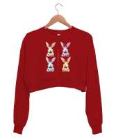 Tavşanlar - Rabbits Kırmızı Kadın Crop Sweatshirt - Thumbnail