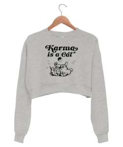 Taylor Swift Karma Is a Cat V2 Gri Kadın Crop Sweatshirt