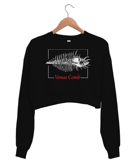 Venüs Comb - Venüs Tarağı Siyah Kadın Crop Sweatshirt