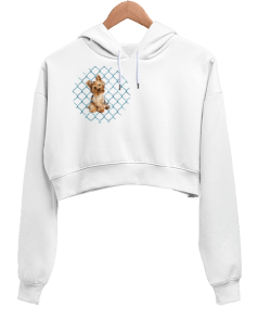 yavru köpek Kadın Crop Hoodie Kapüşonlu Sweatshirt